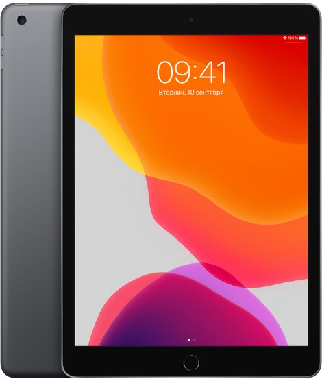Чехлы для Apple iPad Ipad 10.2